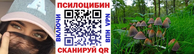 Псилоцибиновые грибы Psilocybine cubensis  даркнет сайт  kraken сайт  Феодосия 